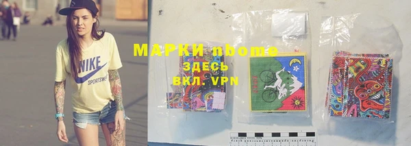 PSILOCYBIN Белокуриха