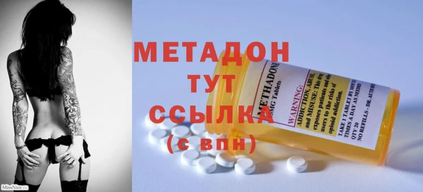 PSILOCYBIN Белокуриха