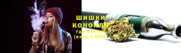 PSILOCYBIN Белокуриха