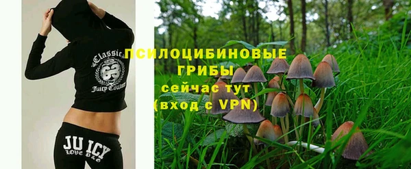 PSILOCYBIN Белокуриха