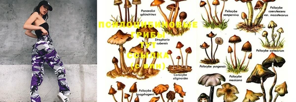 дистиллят марихуана Белоозёрский