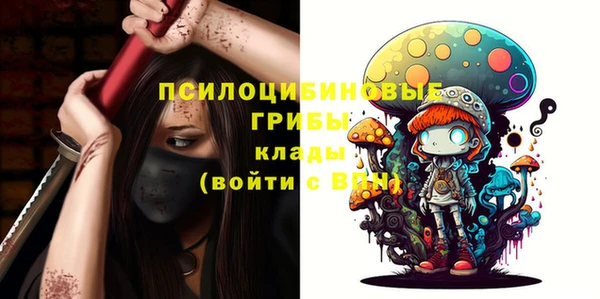 PSILOCYBIN Белокуриха