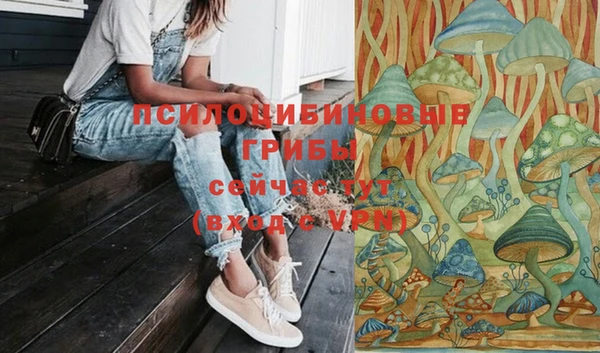 PSILOCYBIN Белокуриха